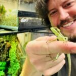 Iguana's "virgin birth" hailed by zookeepers as "one of the rarest events in the animal kingdom"