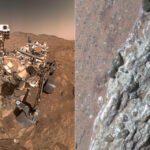 Mars Rock Sign of Life